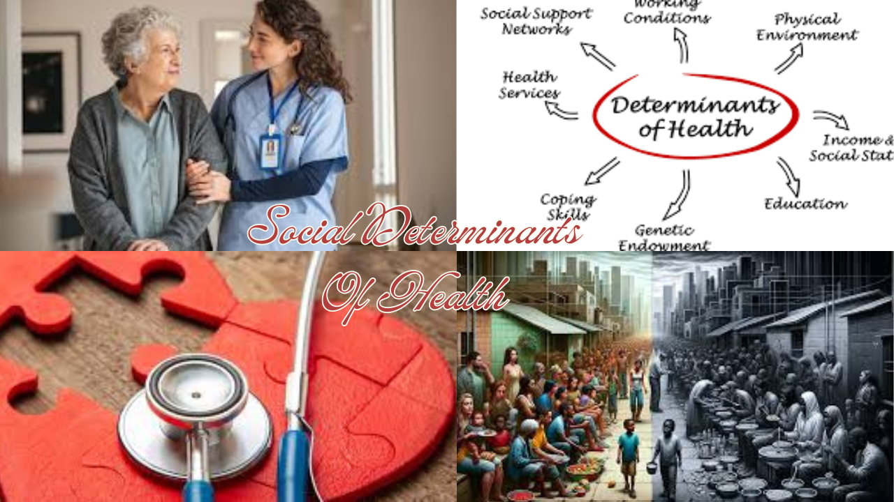 Social Determinants Of Health